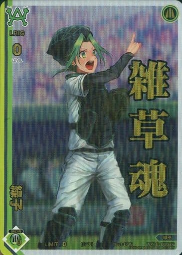 [P-BB] WX18-BB07P 緑子