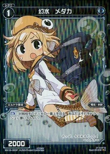 [P-C] WX19-063P 幻水 メダカ