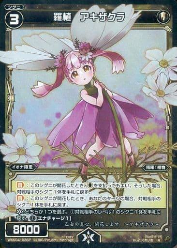 [P-R] WXK04-036P 羅植 アキザクラ