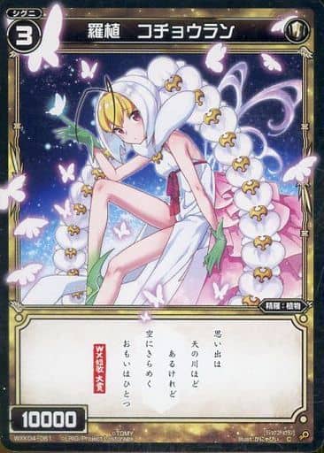 [C] WXK04-061 羅植 コチョウラン