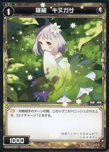[C] WXK04-067 羅植 キヌガサ