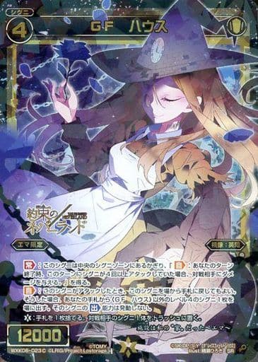 [SR] WXK06-023C GF ハウス