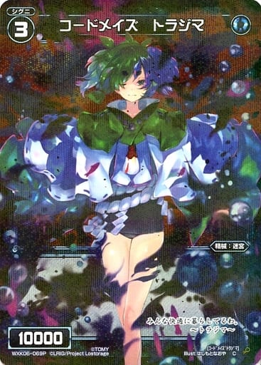 [P-C] WXK06-069P コードメイズ トラジマ