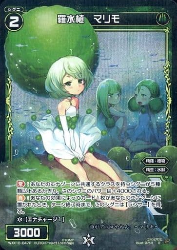 [P-R] WXK10-047P 羅水植 マリモ