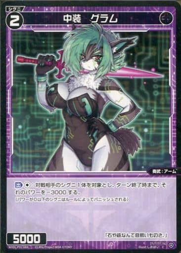 [C] WXDi-P01-084 中装 グラム