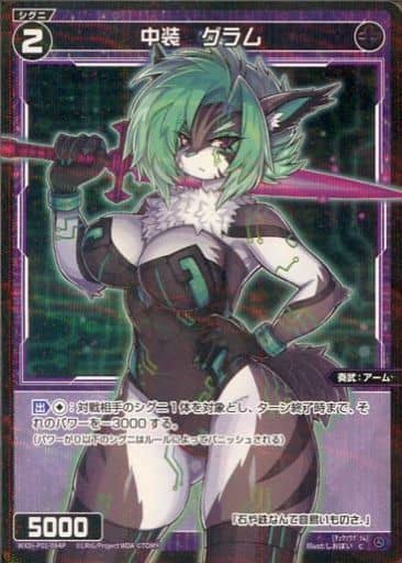 [P-C] WXDi-P01-084P 中装 グラム