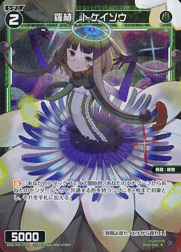 [P-R] WXDi-P05-074P 羅植 トケイソウ
