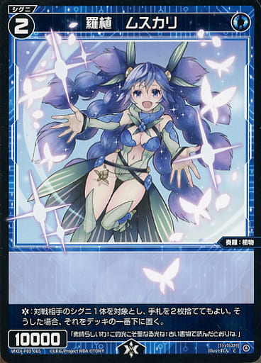 [C] WXDi-P05-065 羅植 ムスカリ