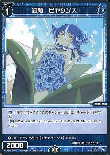 [C] WXDi-P07-071 羅植 ヒヤシンス