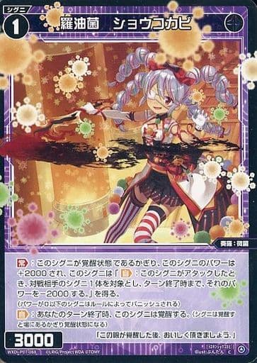 [C] WXDi-P07-088 羅油菌 ショウコカビ