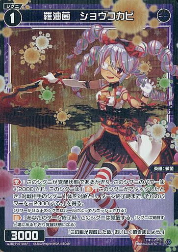 [P-C] WXDi-P07-088P 羅油菌 ショウコカビ