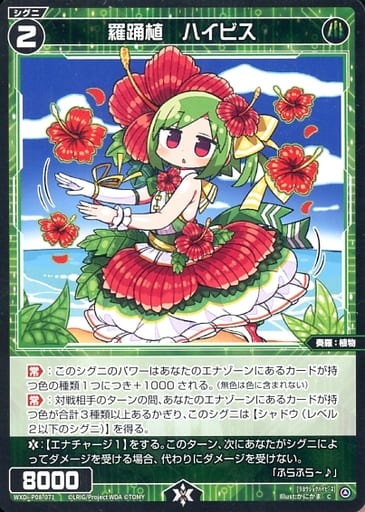 [C] WXDi-P08-071 羅踊植 ハイビス