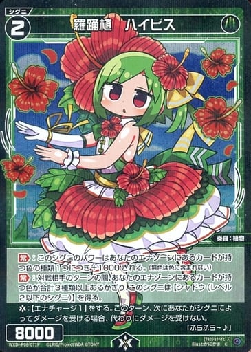 [P-C] WXDi-P08-071P 羅踊植 ハイビス