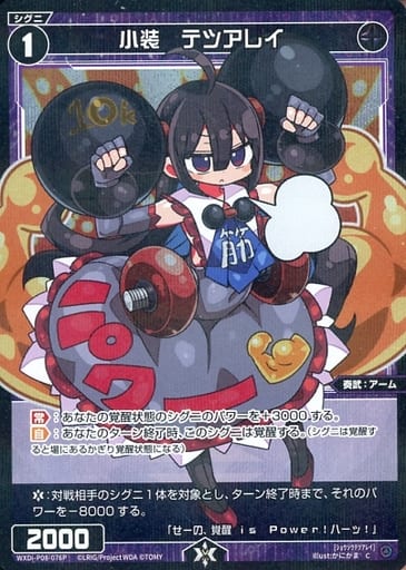 [P-C] WXDi-P08-076P 小装 テツアレイ