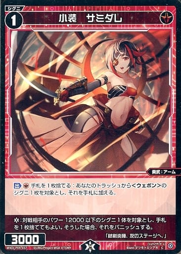 [C] WXDi-P09-057 小装 サミダレ
