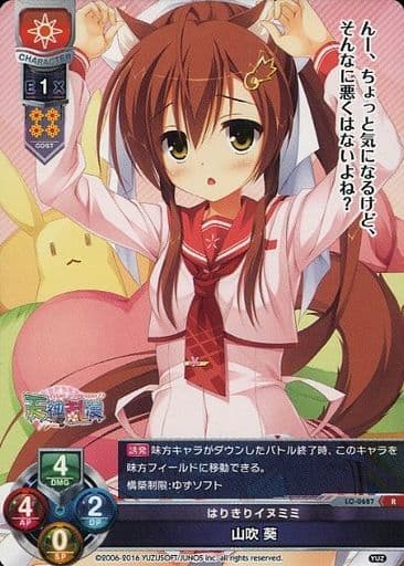 [R] LO-0687 山吹 葵