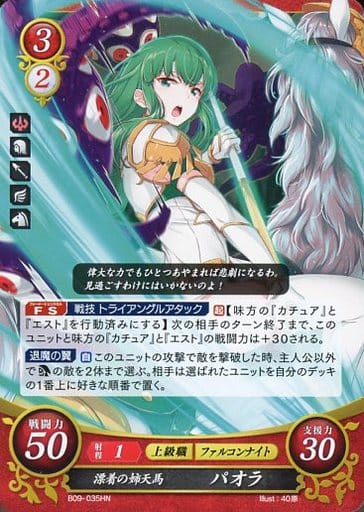 [HN] B09-035 漂着の姉天馬 パオラ
