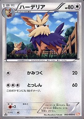 [C] 052/059 ハーデリア
