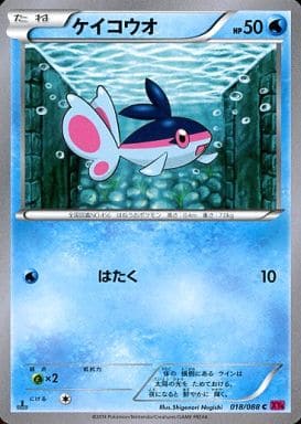 [C] 018/088 ケイコウオ