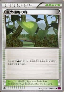 [U] 079/081 巨大植物の森