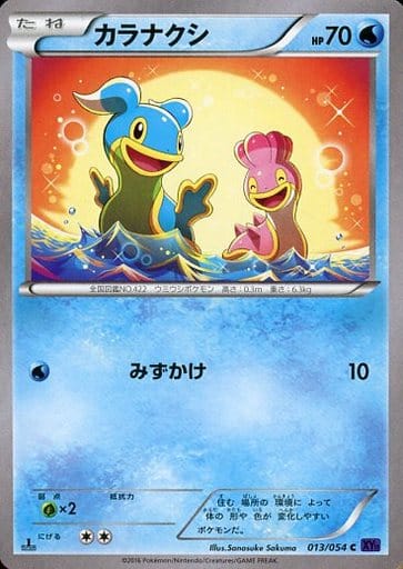 [C] 013/054 カラナクシ