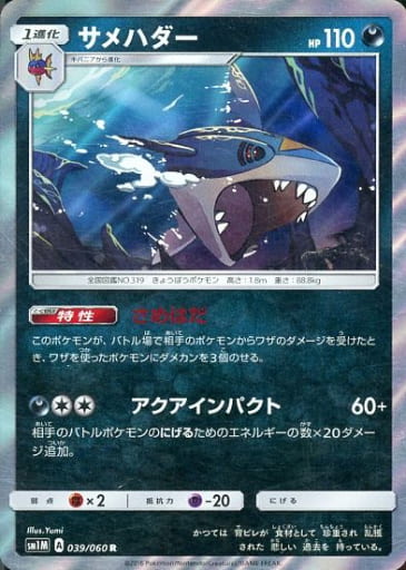 [R] 039/060 サメハダー