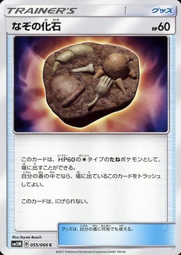 [C] 055/066 なぞの化石