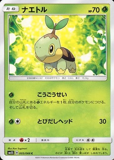[C] 005/066 ナエトル