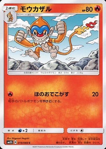 [C] 019/066 モウカザル
