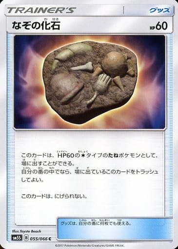 [C] 055/066 なぞの化石
