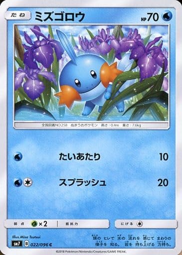 [C] 022/096 ミズゴロウ