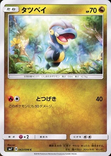 [C] 063/096 タツベイ