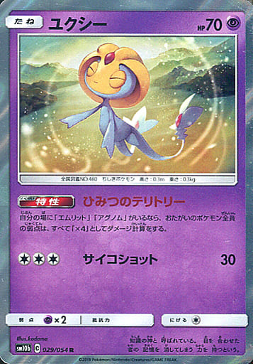 [R] 029/054 ユクシー