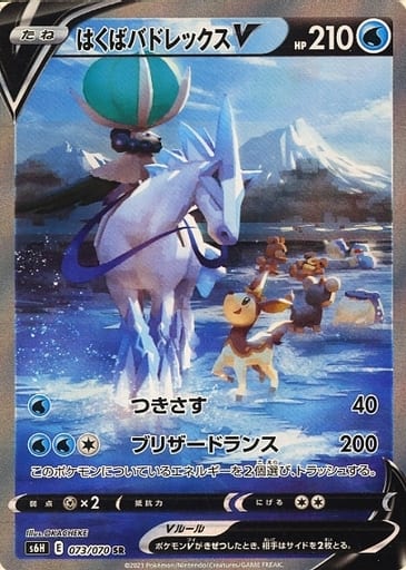 [SR] 073/070 はくばバドレックスV