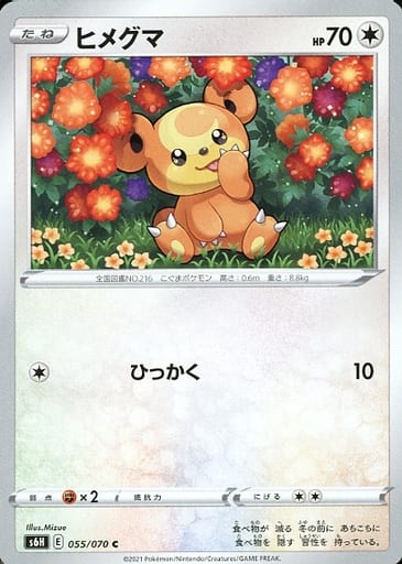[C] 055/070 ヒメグマ