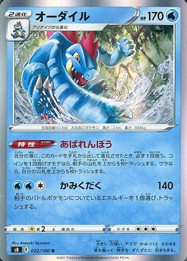 [R] 022/100 オーダイル