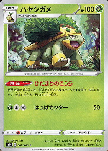 [C] 007/100 ハヤシガメ