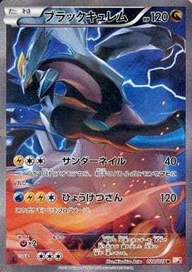 [R] 020/027 ブラックキュレム