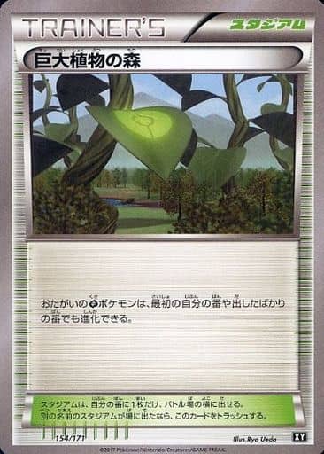 [-] 154/171 巨大植物の森