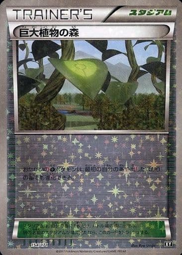 [-] 154/171 巨大植物の森(キラ)