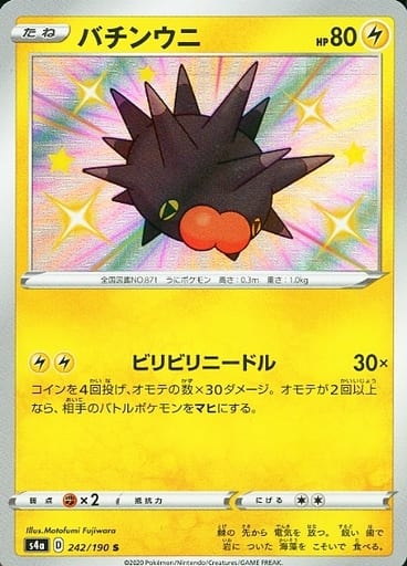 [S] 242/190 バチンウニ