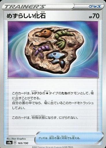 [-] 165/190 めずらしい化石