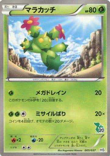 [TD] 005/037 マラカッチ(ツタージャ)