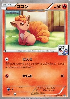 [PROMO] 110/XY-P ロコン
