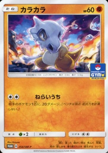 [PROMO] 254/SM-P カラカラ