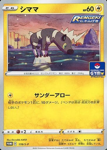 [PROMO] 178/S-P シママ