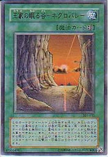 [P-UR] 301-032 王家の眠る谷-ネクロバレー