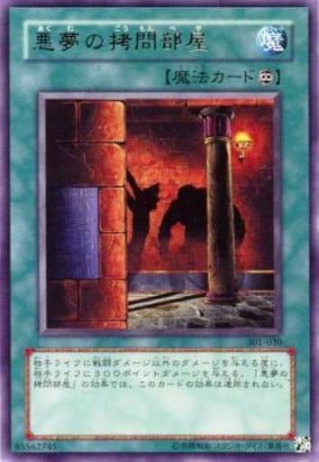 [R] 301-030 悪夢の拷問部屋