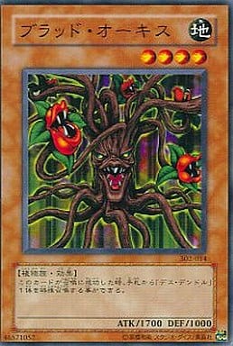 [N] 302-014 ブラッド・オーキス