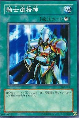 [N] 302-038 騎士道精神
